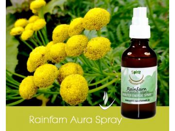 Rainfarn Energie-Spray - 50ml
