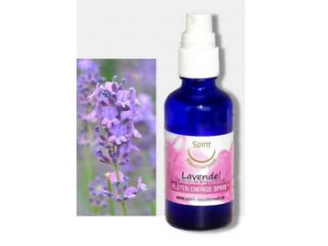 Lavendelblüten | Energie und Aura Spray - 50ml