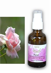 Rosenblüten | Energie und Aura Spray - 50ml